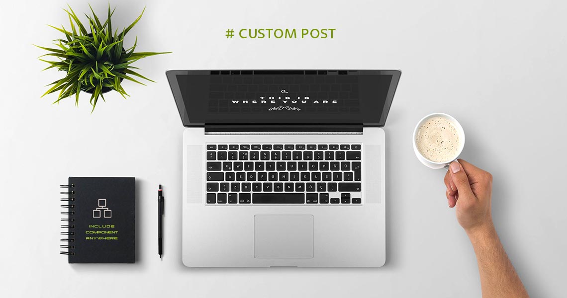 Custom Post 1